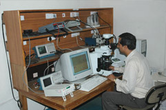 School of Physics